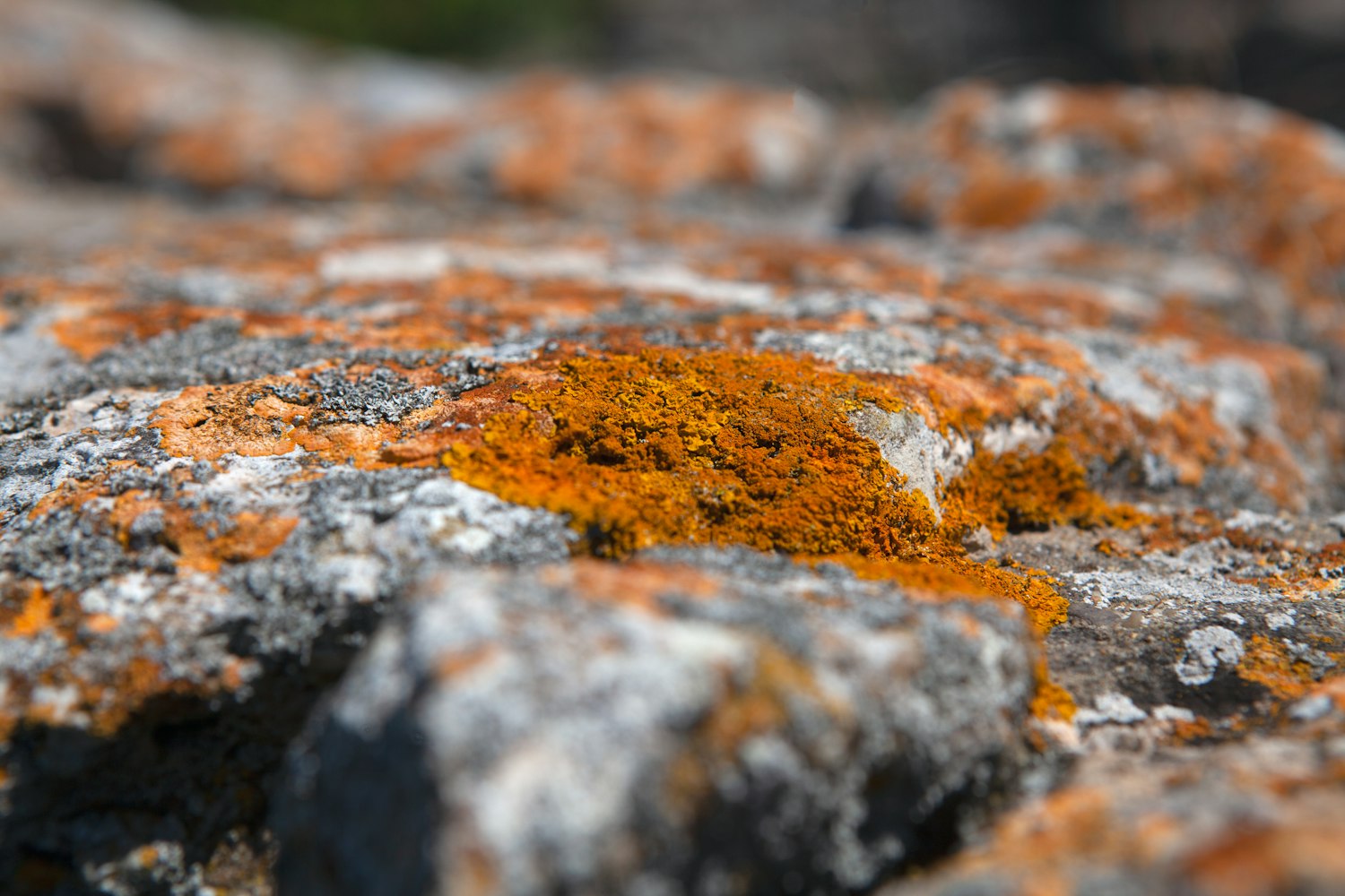 Orange lichen spread across grey granite at the cliff top.